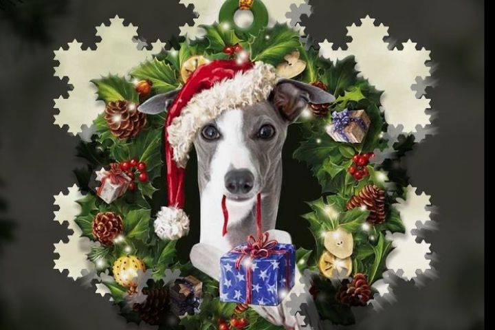 Frohe Weihnachten - Merry Christmas - Veselé Vianoce - Vesele bozicne praznike